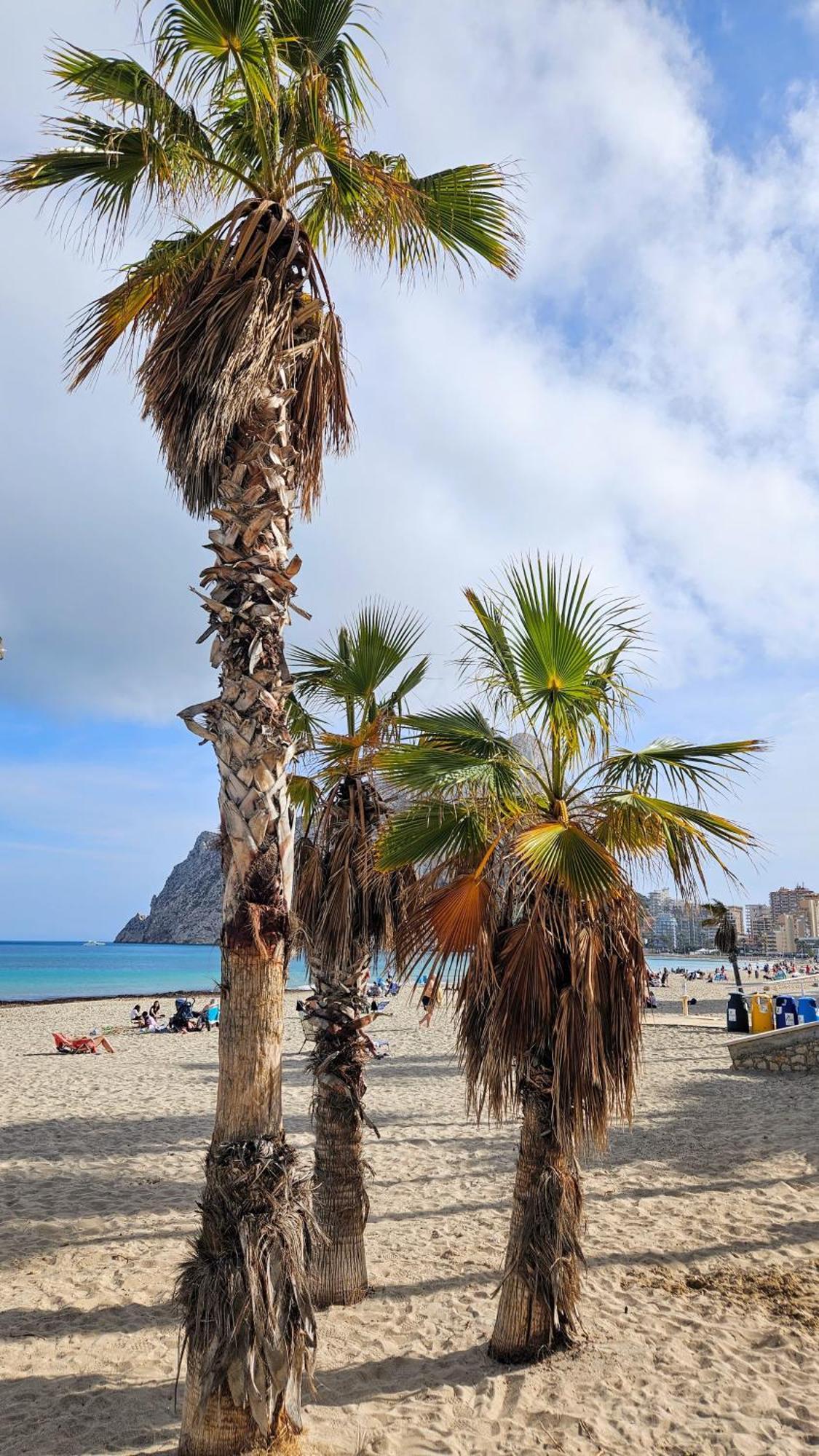 Esmeralda Suites Sunrise Con Piscina Calpe Exterior photo